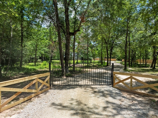 31014 Chelsie Pl, Magnolia, TX 77354 - photo 34