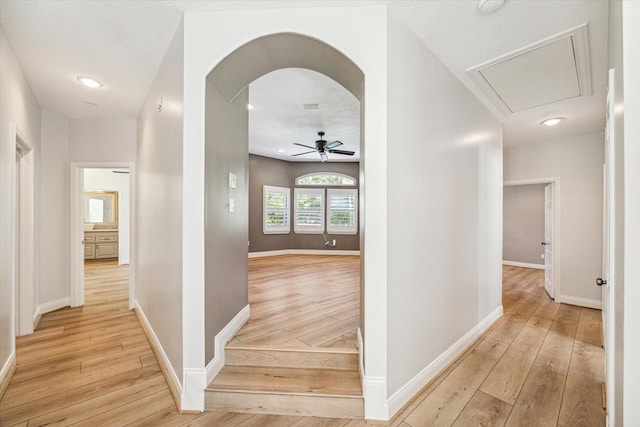 2215 Timbershade Ct, Magnolia, TX 77355 - hallway with attic access, light wood finished floors, arched walkways, and recessed lighting