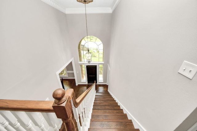 3306 Candlelon Dr, Spring, TX 77388 - foyer entrance with dark wood-type flooring, ornamental molding, baseboards, stairway, and a towering ceiling