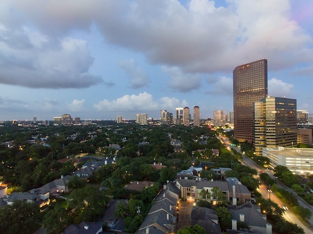 5656 San Felipe St Unit 1301, Houston, TX 77056 - view of city