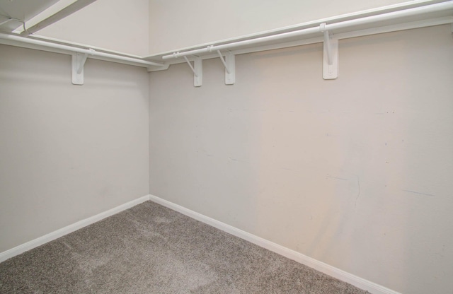 3102 Gianna Springs Ct, Humble, TX 77396 - walk in closet with carpet