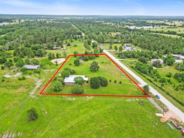25 Willey Rd, Bedias, TX 77831 - view of property location featuring property parcel outlined