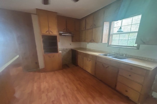 501 S 15th St, Seadrift, TX 77983 - kitchen with under cabinet range hood, light wood-style floors, light countertops, and a sink