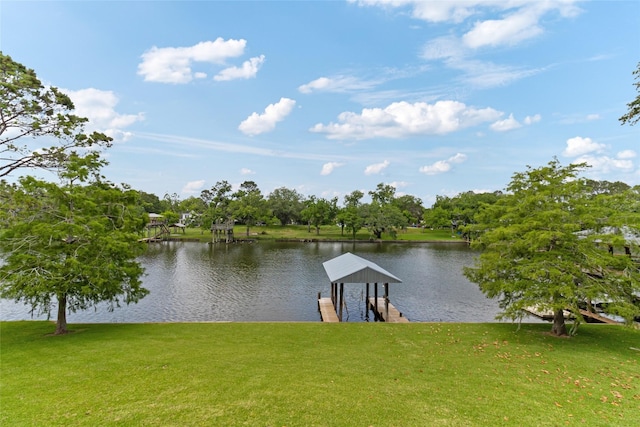 287 County Road 416, Brazoria, TX 77422 - dock with a lawn and a water view