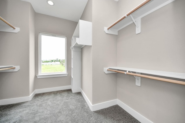 3913 Griggs Rd, Houston, TX 77021 - spacious closet with carpet