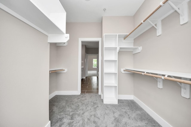 3913 Griggs Rd, Houston, TX 77021 - spacious closet with carpet floors
