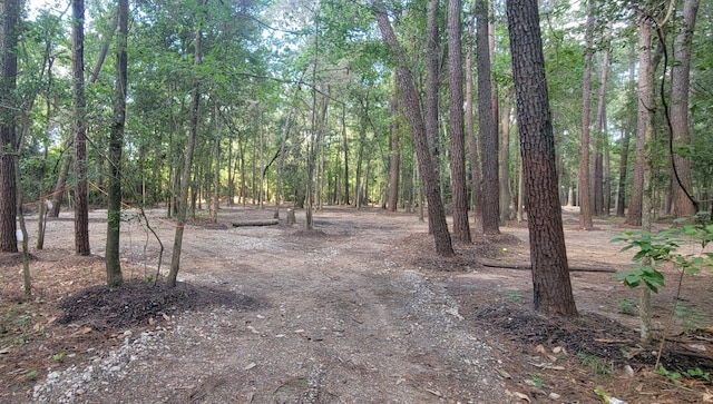 29515 W Irving Rd, Huffman, TX 77336 - photo 6