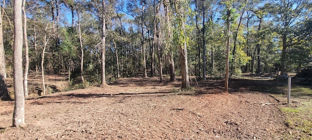 29515 W Irving Rd, Huffman, TX 77336 - photo 9