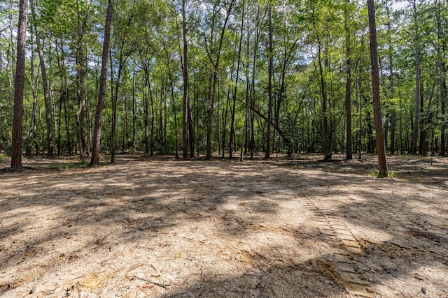 29515 W Irving Rd, Huffman, TX 77336 - photo 11