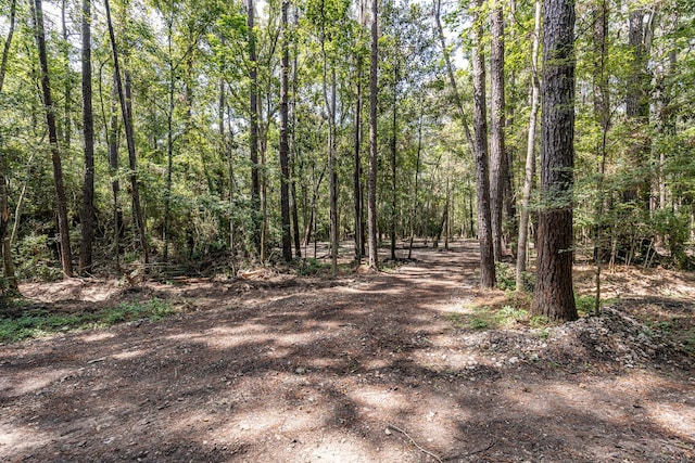 29515 W Irving Rd, Huffman, TX 77336 - photo 10