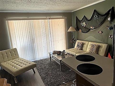 6102 Seawall Blvd Unit 276, Galveston, TX 77551 - living area featuring a textured ceiling and crown molding