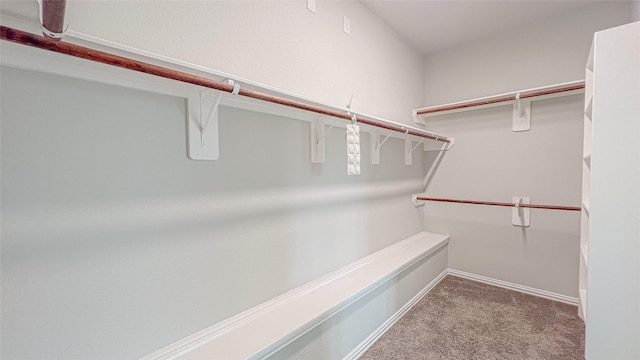 14227 Angelina Dr, Baytown, TX 77523 - spacious closet featuring carpet
