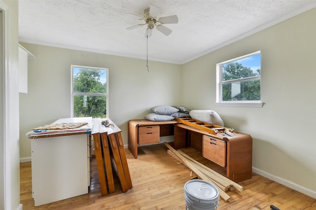 245 Bridgewater, Onalaska, TX 77360 - miscellaneous room with ornamental molding, light wood finished floors, baseboards, and plenty of natural light