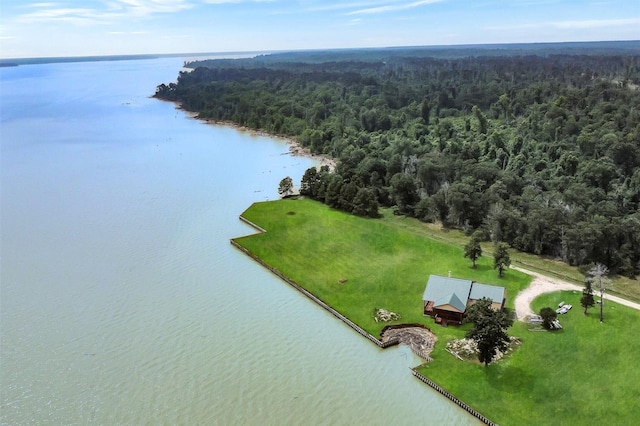 245 Bridgewater, Onalaska, TX 77360 - bird's eye view of a forest and a large body of water