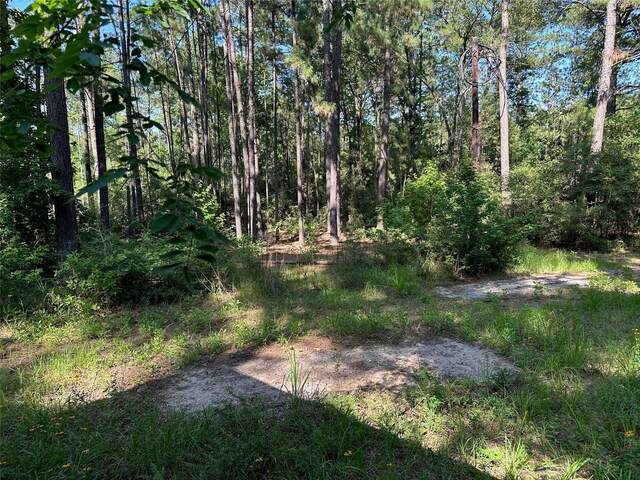 1883 Winding Creek Dr, Trinity, TX 75862 - view of local wilderness