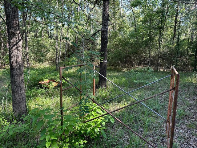 1883 Winding Creek Dr, Trinity, TX 75862 - view of yard