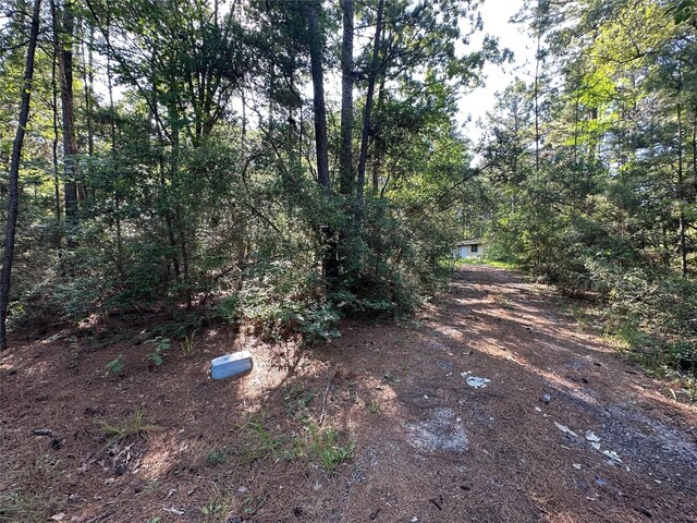 1883 Winding Creek Dr, Trinity, TX 75862 - view of yard