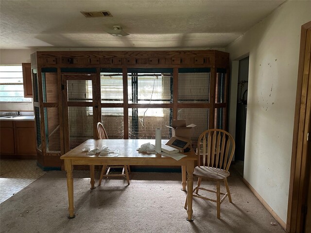 1883 Winding Creek Dr, Trinity, TX 75862 - dining area featuring plenty of natural light, light carpet, and a textured ceiling