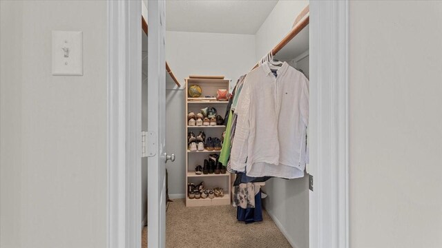 10543 Day Trail Ln, Spring, TX 77379 - photo 19