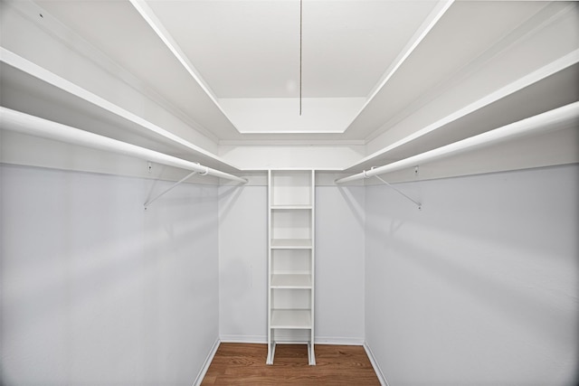 811 Lovett Blvd Unit 8, Houston, TX 77006 - walk in closet featuring wood finished floors
