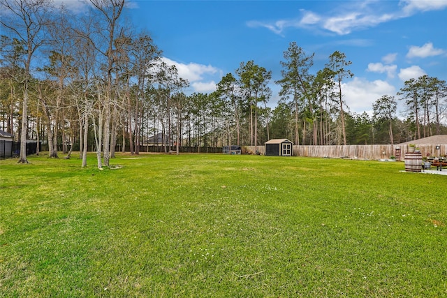 19715 Desna Dr, Porter, TX 77365 - view of yard