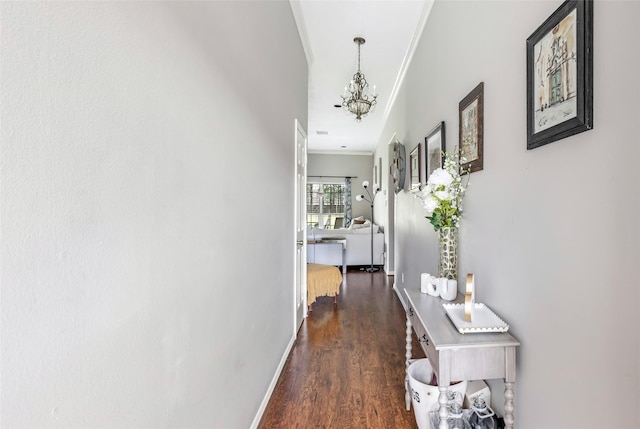19715 Desna Dr, Porter, TX 77365 - corridor with crown molding, dark wood-style floors, a chandelier, and baseboards
