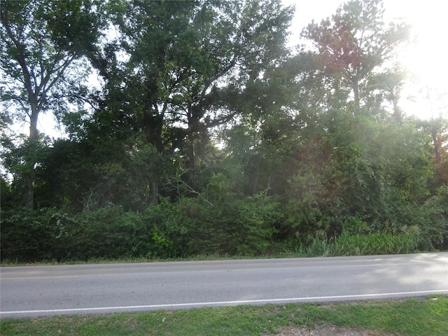 0 Calhoun Rd, Conroe, TX 77302 - photo 3