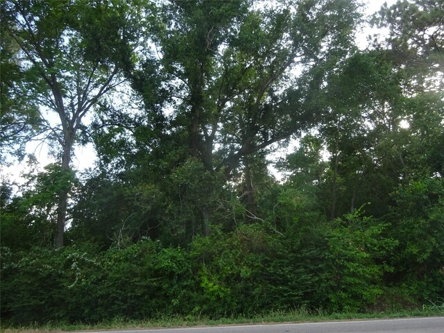0 Calhoun Rd, Conroe, TX 77302 - photo 4