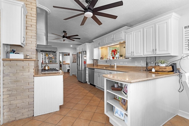 319 W Shore Dr, Kemah, TX 77565 - kitchen with wall chimney exhaust hood, stainless steel appliances, ceiling fan, open shelves, and a sink