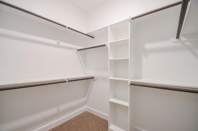 6523 Tuskegee St, Houston, TX 77091 - walk in closet with carpet floors