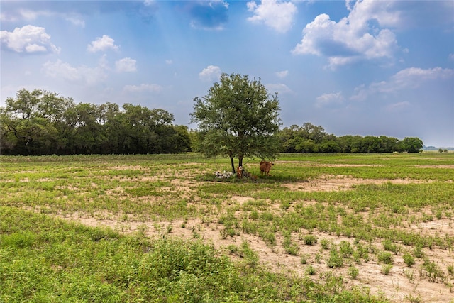 2948 County Road 106, Columbus, TX 78934