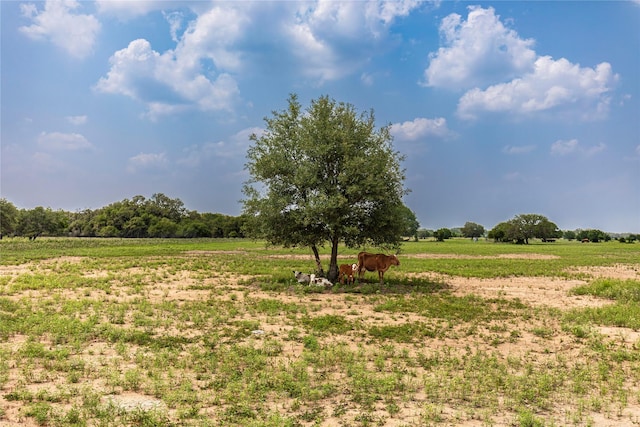 2948 County Road 106, Columbus, TX 78934