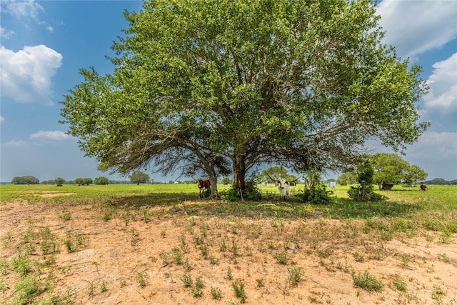 2948 County Road 106, Columbus, TX 78934