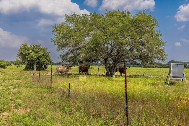 2948 County Road 106, Columbus, TX 78934