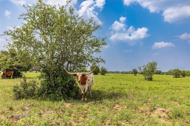 2948 County Road 106, Columbus, TX 78934