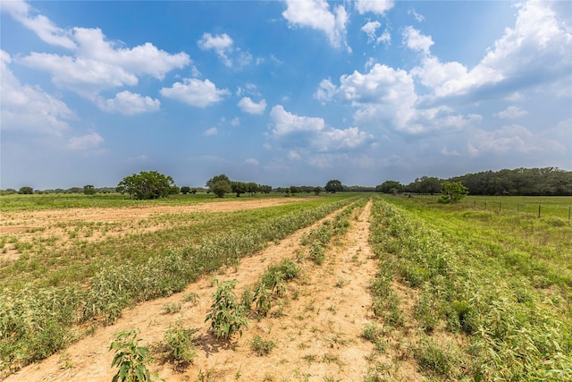 2948 County Road 106, Columbus, TX 78934