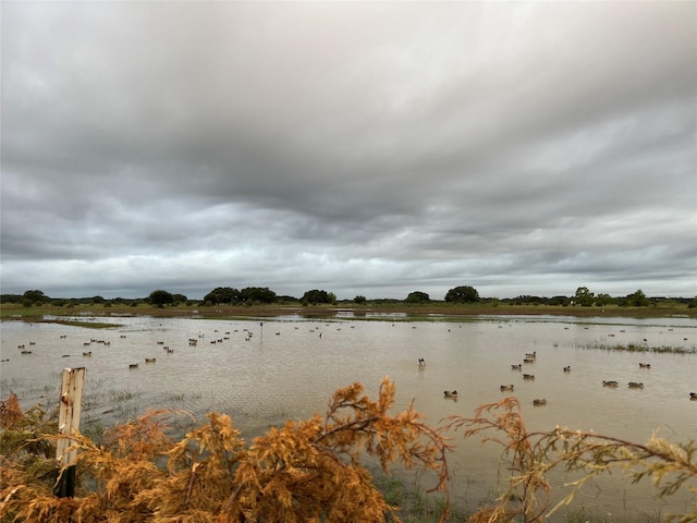 2948 County Road 106, Columbus, TX 78934