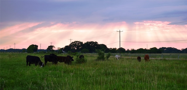 2948 County Road 106, Columbus, TX 78934