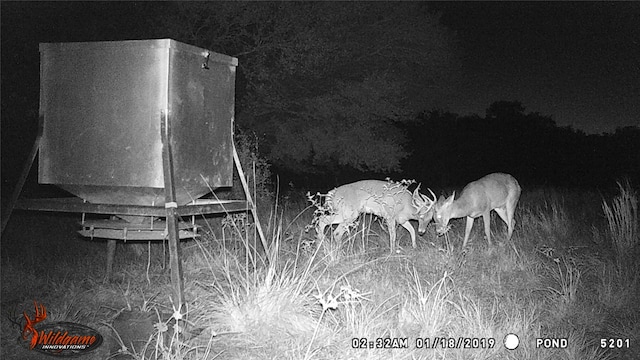 2948 County Road 106, Columbus, TX 78934