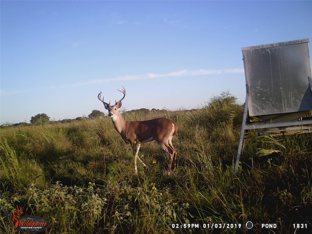 2948 County Road 106, Columbus, TX 78934
