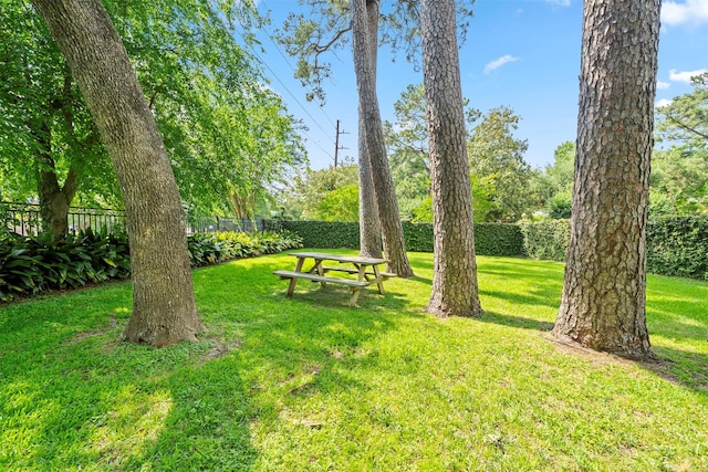 14119 Kiamesha Ct, Houston, TX 77069 - view of property's community
