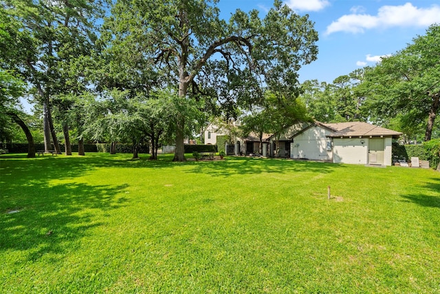 14119 Kiamesha Ct, Houston, TX 77069 - view of grassy yard