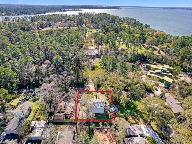 14510 Henry Calfee Dr, Willis, TX 77318 - aerial view of property's location with a nearby body of water, a forest, and property parcel outlined