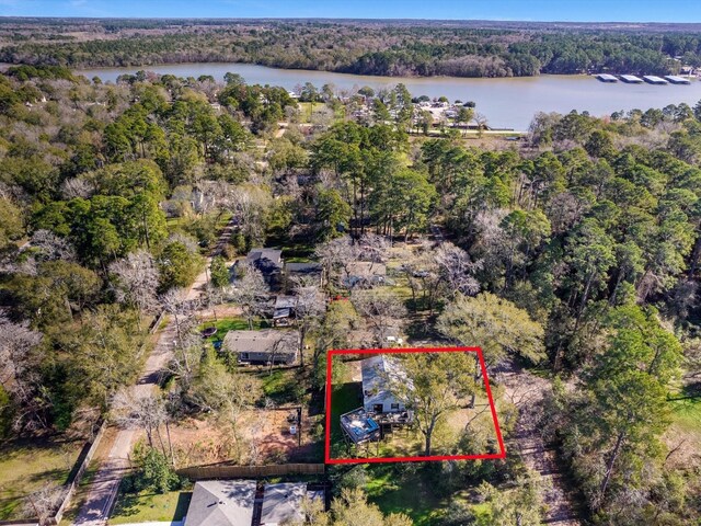 14510 Henry Calfee Dr, Willis, TX 77318 - aerial view of property's location featuring a nearby body of water, a forest, and property boundaries highlighted