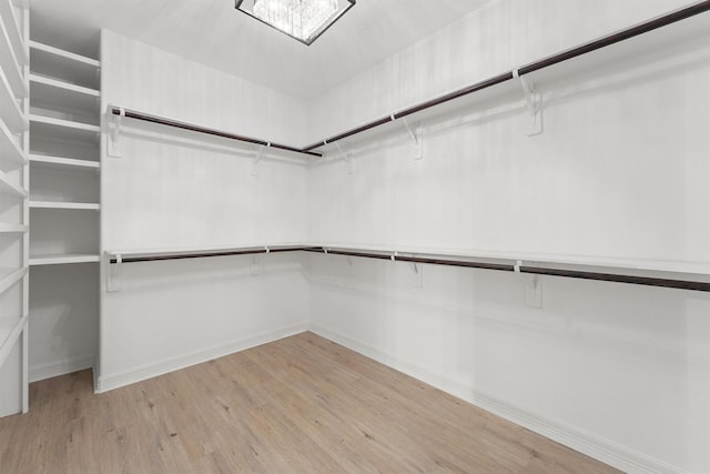 28411 Calaveras Creek Ct, Houston, TX 77336 - spacious closet featuring light wood-style flooring