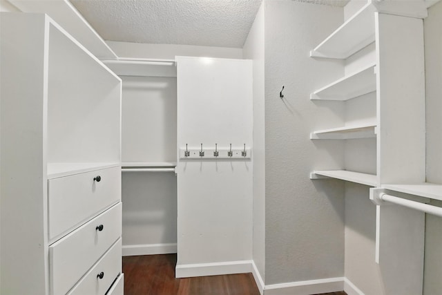 3126 Windchase Blvd Unit 421, Houston, TX 77082 - walk in closet with dark wood-type flooring