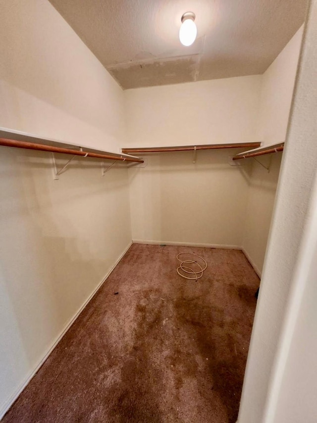 1015 Amaryllis Rd, Baytown, TX 77521 - walk in closet with carpet