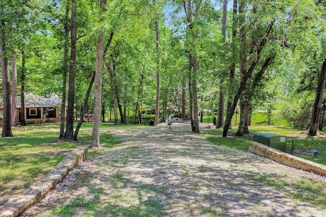 81 Baron Dr, Coldspring, TX 77331 - surrounding community featuring a lawn