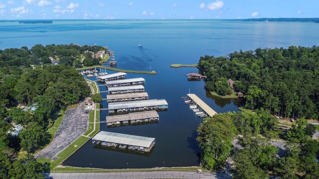 81 Baron Dr, Coldspring, TX 77331 - aerial overview of property's location featuring a large body of water
