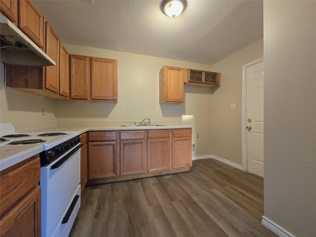 256 Alleda Rd, Prairie View, TX 77484 - kitchen with electric range, under cabinet range hood, a sink, dark wood-style floors, and light countertops